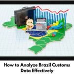 Brazil customs data